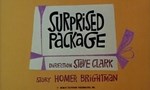 The Dick Tracy Show 1x11 ● Surprised Package