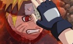 Naruto Shippuden 1x30 ● La Beauté de l'instant