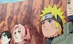 Naruto Shippuden 2x19 ● Retrouvailles