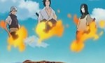 Naruto Shippuden 2x21 ● Fin de mission