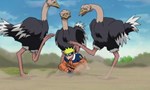 Naruto Shippuden 9x10 ● Le Monde des animaux