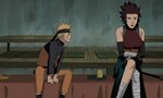 Naruto Shippuden 11x13 ● La kunoichi rose