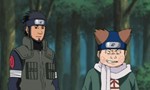 Naruto Shippuden 13x13 ● Vraie gentillesse