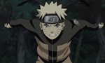 Naruto Shippuden 20x14 ● Carnets ninjas de Jiraya - Légendes du héros Naruto - La poursuite