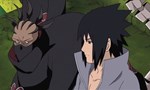 Naruto Shippuden 20x18 ● Carnets ninjas de Jiraya - Légendes du héros Naruto - Épopée ninja