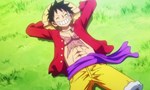 One Piece 22x03 ● Le rêve de Luffy