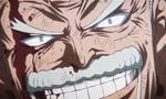 One Piece 22x37 ● La dernière leçon. L'Impact en héritage !