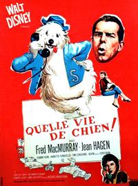 Quelle vie de chien ! [1960]