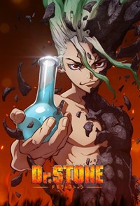 Dr Stone