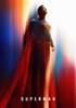 Voir la fiche Superman Legacy