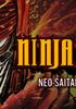 Ninja Slayer : Neo-Saitama in Flames - PC Jeu en téléchargement PC