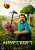 Voir la fiche Minecraft, le film